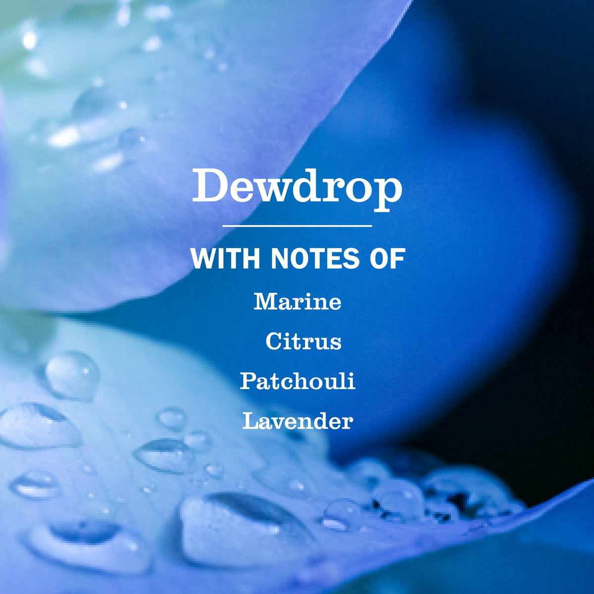 Spring Features Collection