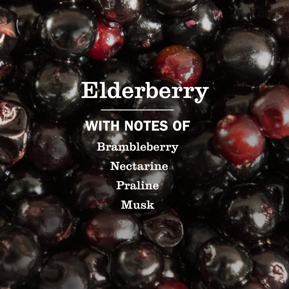 Elderberry Plug In Scented Oil Refill 2-Pack