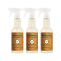 Sugar Pumpkin Multi-Surface Everyday Cleaner 3-count Bundle