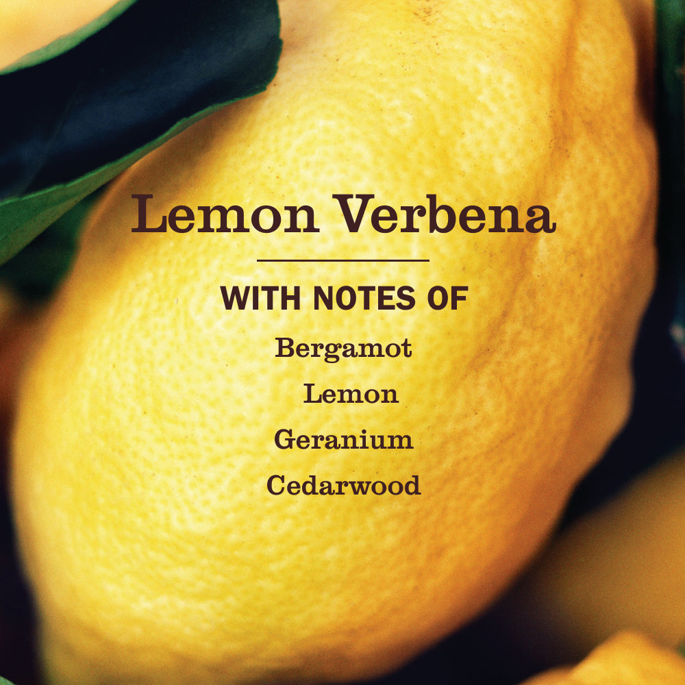 Mrs. Meyer's Lemon Verbena Automatic Dish Packs