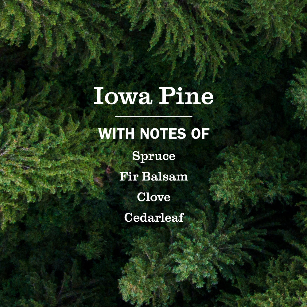 Mrs. Meyer's Iowa Pine Hand Lotion