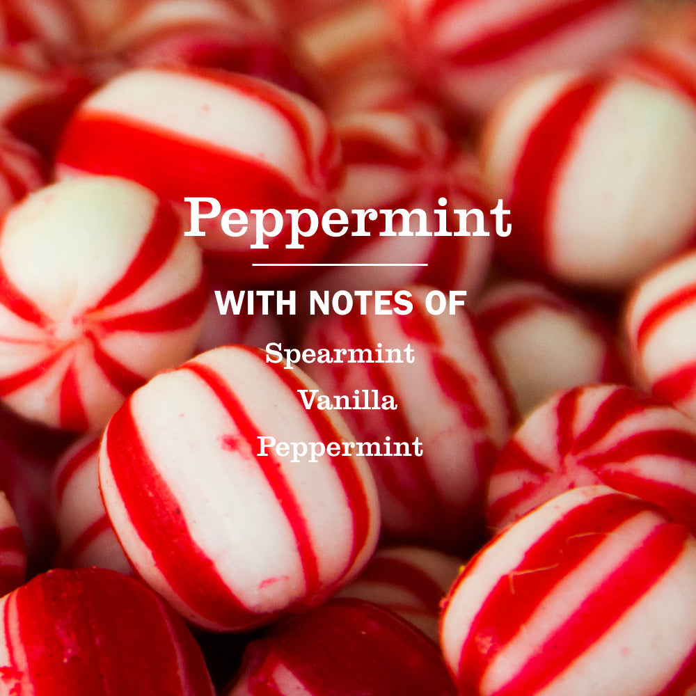 Mrs. Meyer's Peppermint Liquid Hand Soap 3-count Bundle 
