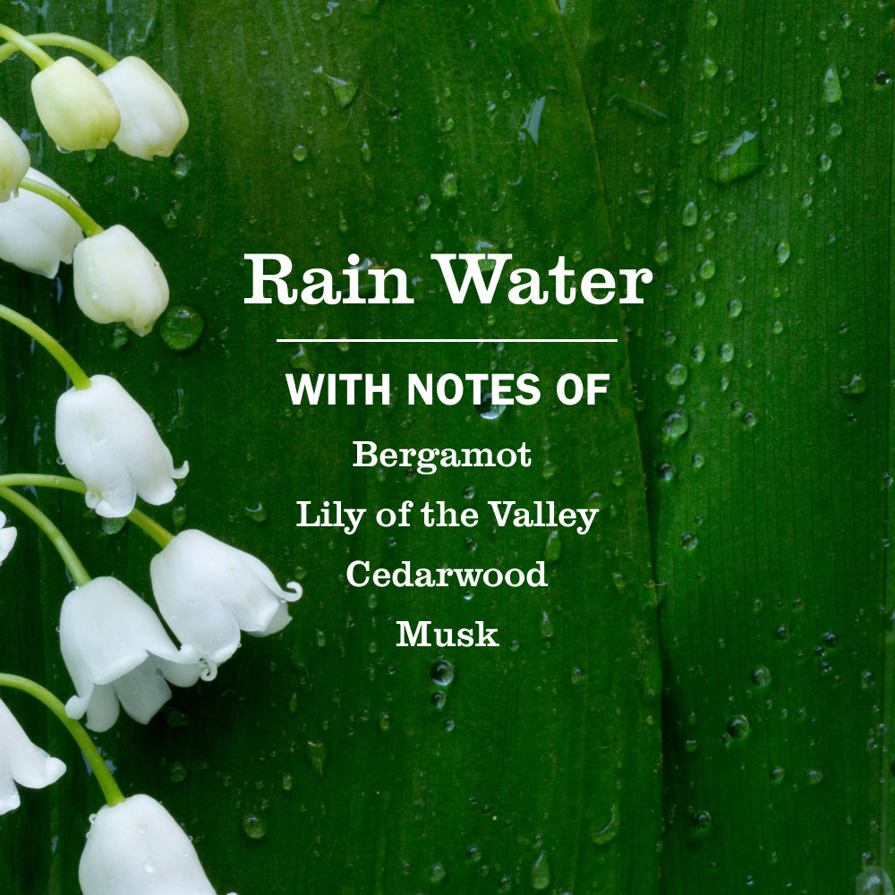 Mrs. Meyer's Rain Water Hand Lotion